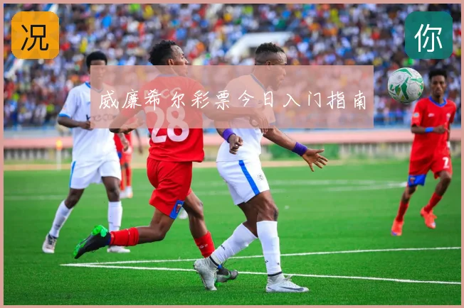 威廉希尔彩票今日入门指南
